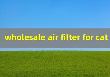 wholesale air filter for cat